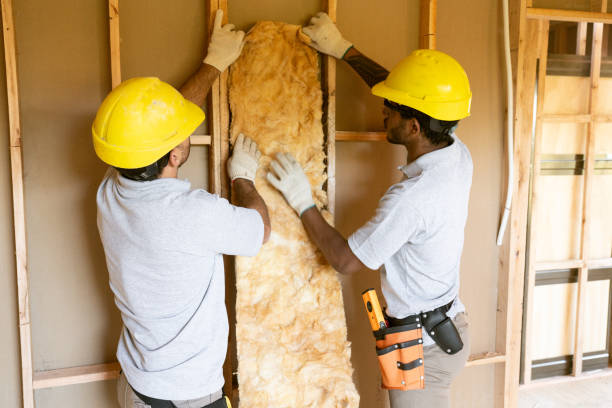 Best Attic Insulation Installation  in Mililani Town, HI